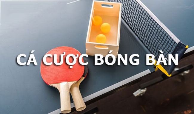 cá cược bóng bàn