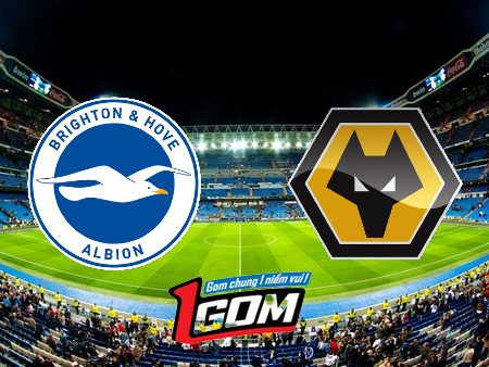 Soi kèo, nhận định Brighton vs Wolves – 02h45 – 23/01/2024